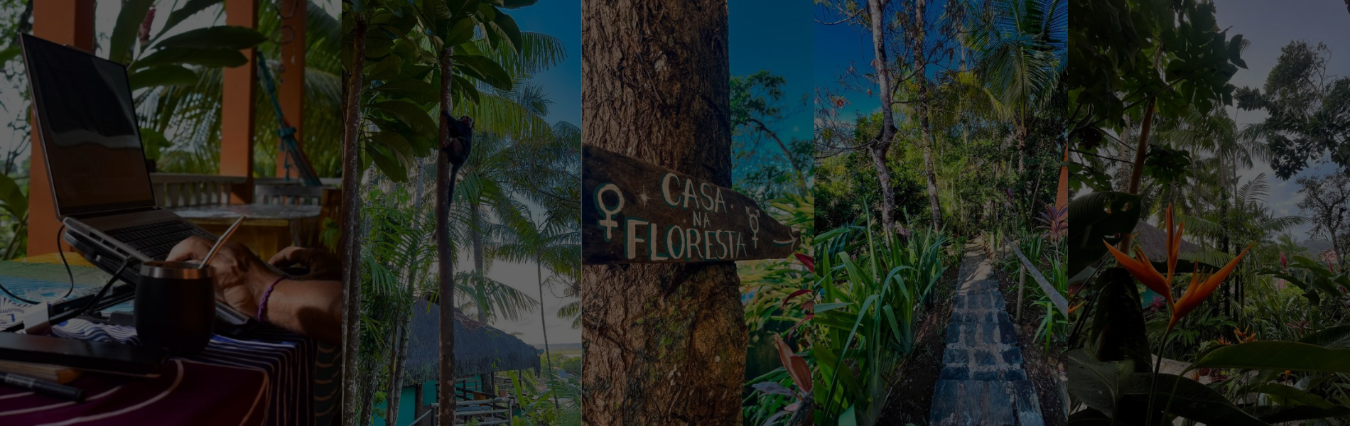 Hostel Zen - Casa na Floresta